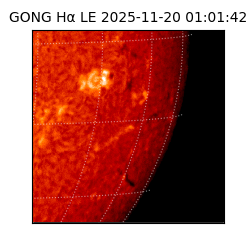 gong - 2025-11-20T01:01:42