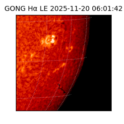 gong - 2025-11-20T06:01:42
