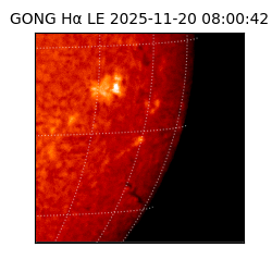 gong - 2025-11-20T08:00:42