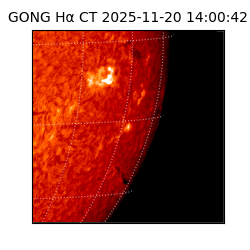 gong - 2025-11-20T14:00:42
