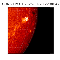 gong - 2025-11-20T22:00:42