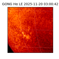 gong - 2025-11-20T03:00:42