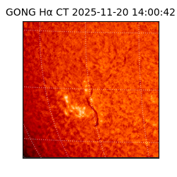 gong - 2025-11-20T14:00:42