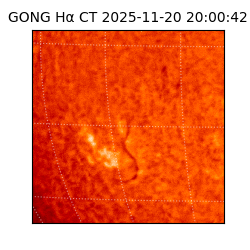 gong - 2025-11-20T20:00:42