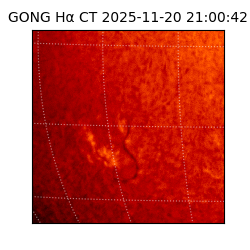 gong - 2025-11-20T21:00:42
