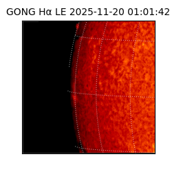 gong - 2025-11-20T01:01:42