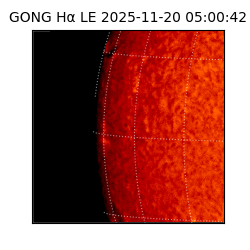 gong - 2025-11-20T05:00:42