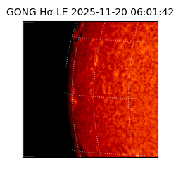 gong - 2025-11-20T06:01:42