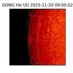 gong - 2025-11-20T09:00:02