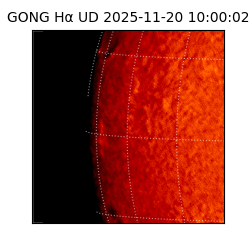 gong - 2025-11-20T10:00:02