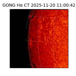 gong - 2025-11-20T11:00:42