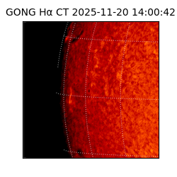 gong - 2025-11-20T14:00:42
