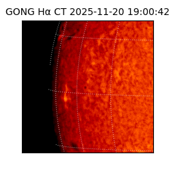 gong - 2025-11-20T19:00:42