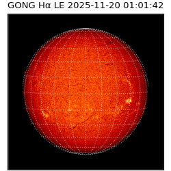 gong - 2025-11-20T01:01:42
