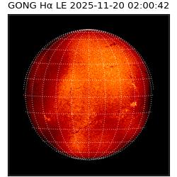 gong - 2025-11-20T02:00:42