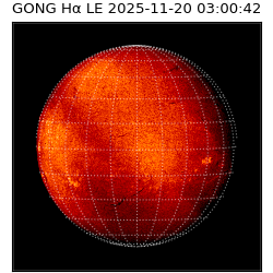 gong - 2025-11-20T03:00:42