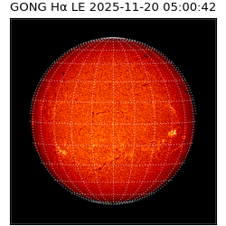 gong - 2025-11-20T05:00:42