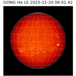 gong - 2025-11-20T06:01:42