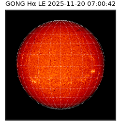 gong - 2025-11-20T07:00:42