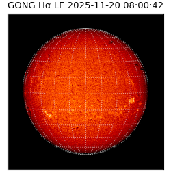gong - 2025-11-20T08:00:42