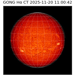 gong - 2025-11-20T11:00:42