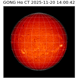 gong - 2025-11-20T14:00:42