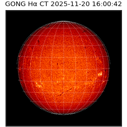 gong - 2025-11-20T16:00:42