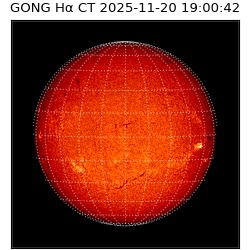 gong - 2025-11-20T19:00:42