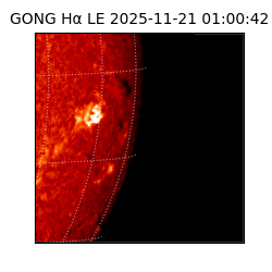gong - 2025-11-21T01:00:42
