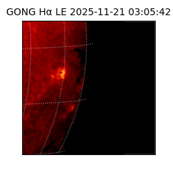 gong - 2025-11-21T03:05:42