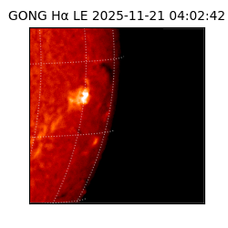 gong - 2025-11-21T04:02:42