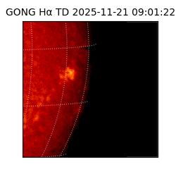 gong - 2025-11-21T09:01:22