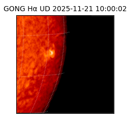 gong - 2025-11-21T10:00:02