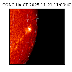 gong - 2025-11-21T11:00:42