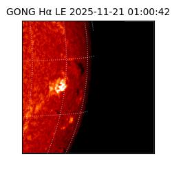 gong - 2025-11-21T01:00:42