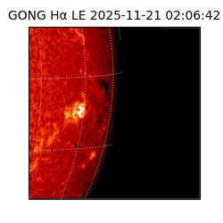 gong - 2025-11-21T02:06:42