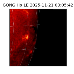 gong - 2025-11-21T03:05:42