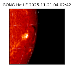 gong - 2025-11-21T04:02:42