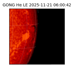 gong - 2025-11-21T06:00:42