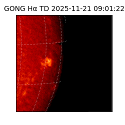 gong - 2025-11-21T09:01:22