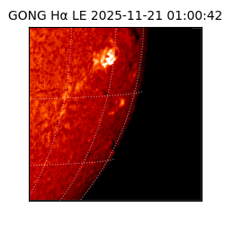 gong - 2025-11-21T01:00:42