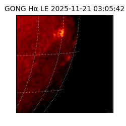 gong - 2025-11-21T03:05:42