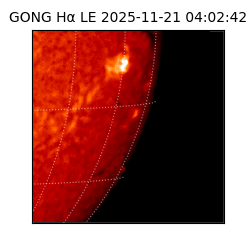 gong - 2025-11-21T04:02:42