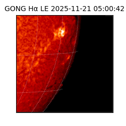 gong - 2025-11-21T05:00:42