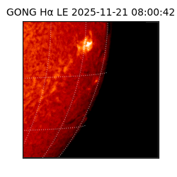 gong - 2025-11-21T08:00:42