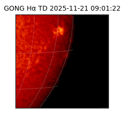 gong - 2025-11-21T09:01:22