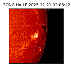 gong - 2025-11-21T02:06:42