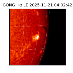 gong - 2025-11-21T04:02:42