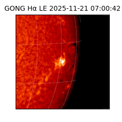 gong - 2025-11-21T07:00:42