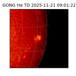 gong - 2025-11-21T09:01:22